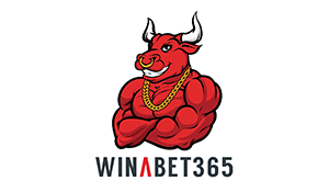 Témoignage Winabet365 : Codes bonus, inscription et applications mobiles
