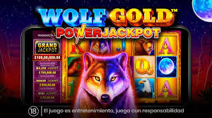 신비로운 세계 Wolf Gold의 매력